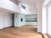 Gallery with open kitchen