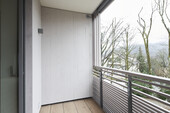 Wood on the facade and balconies