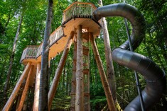 Experience the forest from above - new treetop walk on the Ballenberg