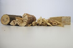 Kapitalerhöhung und Mitgliederversammlung bei Scrimber